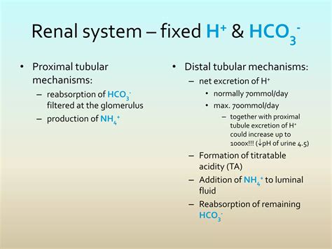 Acid Base Balance And Abg Interpretation Ppt