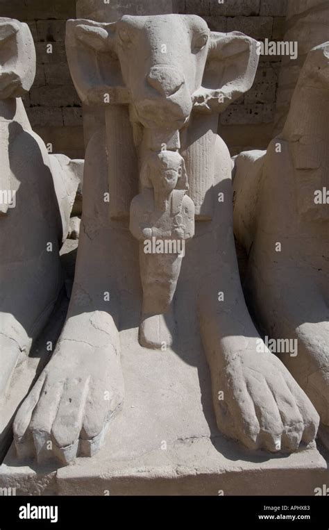 Ram Headed Sphinx Karnak Luxor Egypt Stock Photo Alamy