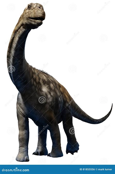 Argentinosaurus Cartoons Illustrations And Vector Stock Images 217