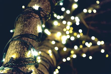 1000 Beautiful Christmas Lights Photos · Pexels · Free Stock Photos