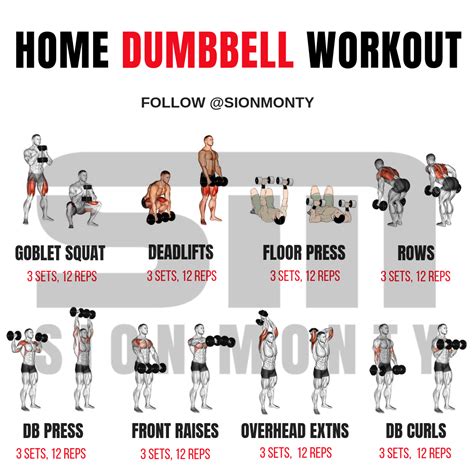 Https://techalive.net/home Design/at Home Dumbbell Only Workout Plan