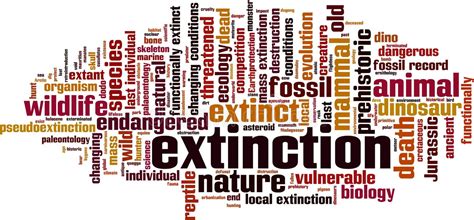 Word Cloud Endangered Species Stock Illustrations 19 Word Cloud