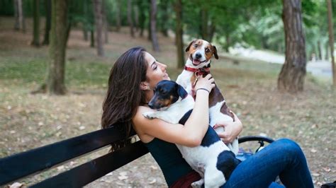 How Much Does It Cost To Adopt A Dog Metlife Pet Insurance
