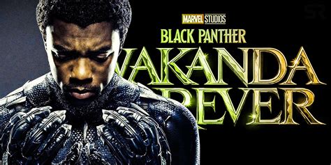 Wakanda Forever Black Panther 2s New Title Explained And Why Its Perfect