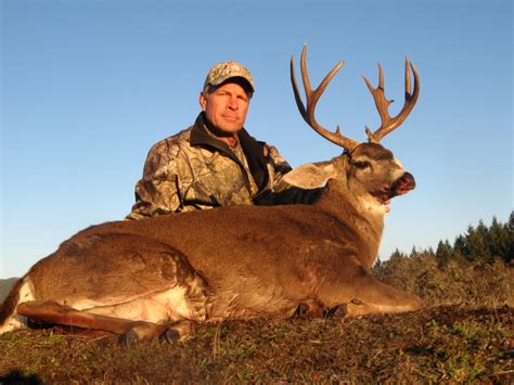 Trophy Deer Hunting Blacktail Deer Hunting California