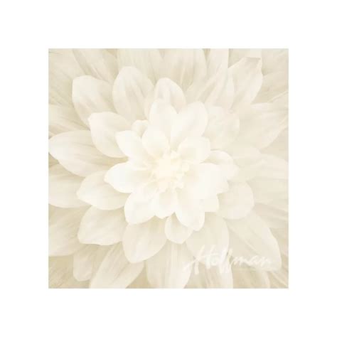 Ivory Dream Big Hoffman Quilt Panel 43 X 43 Inches Digital Print