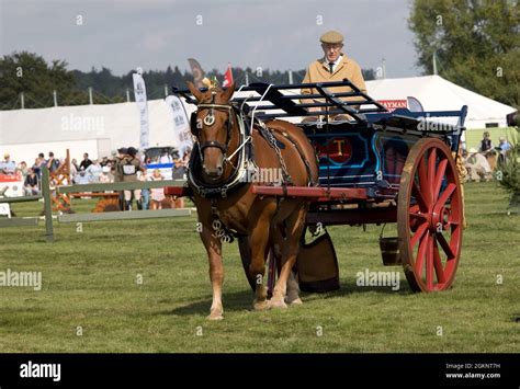 Suffolk Shire Horse And Cart In Main Arena At Moreton In Marsh