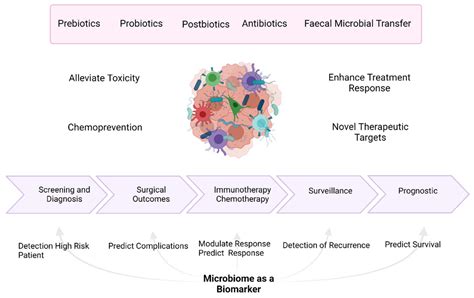 Cancers Free Full Text The Microbiome As A Potential Target For