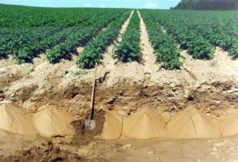 فرسایش خاک چیست ؟ دلایل و راه های مقابله در زمین های کشاورزی طراح گستر آب آرا