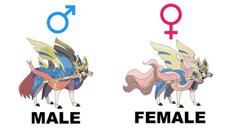 Zacian And Zamazenta Gender Difference Pokemon Sword And Shield Fanart