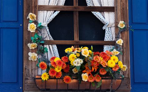 Window boxes come in as a great help in such circumstances. 14 Breathtaking Fall Window Boxes - Garden Lovers Club
