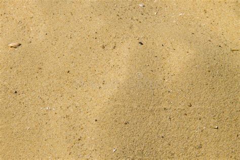 Sand Texture Sandy Beach For Background Stock Photo Image Of Ecology