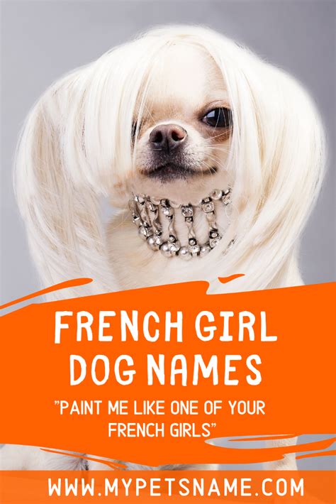 Pin On Dog Names