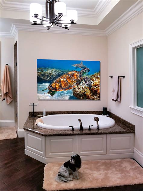 sea turtle over bathtub justin kelefas fine art photography