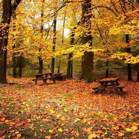Download it free and share your own artwork here. 9 Short And Sweet Fall Hikes In Kansas With A Spectacular ...