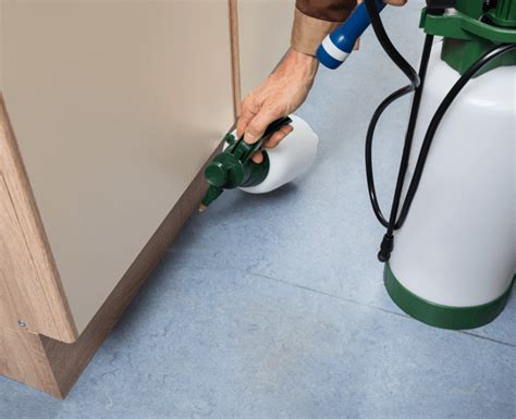 When locals in ventura ca have a problem with insects or rodents they want fast, reliable, pest control solutions. Termite Repair Service for Pest-free Homes - My Termite ...