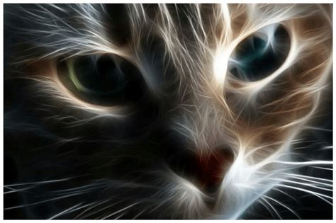 Cat Desktop Wallpapers Top Free Cat Desktop Backgrounds Wallpaperaccess