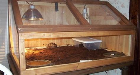 What Size Indoor Enclosure For A Baby Sulcata Pet Sulcata Tortoise