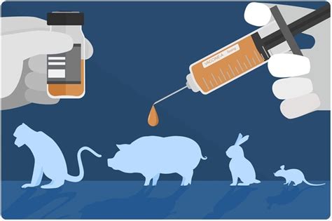 Why Animal Testing Is Crucial Outlook