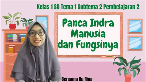 Panca Indra Manusia Dan Fungsinya Kelas Sd Tema Subtema