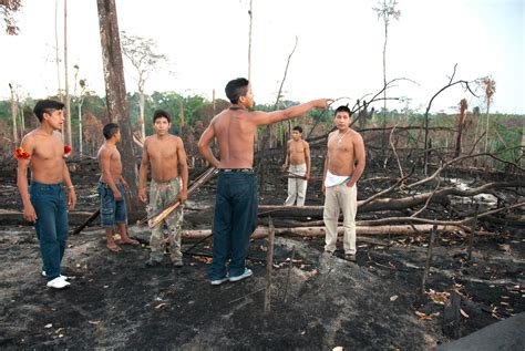 Uncontacted Awá Tribe Threatened By Amazon Fires Set By Loggers — Quartz