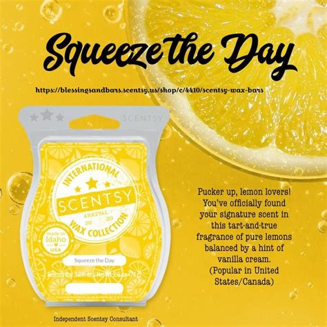 Squeeze The Day Scentsy Wax Bar 6 Scentsy Bars Scentsy Scentsy