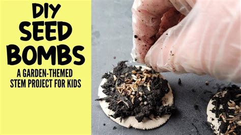 Diy Seed Bomb Stem Project For Kids Hess Unacademy