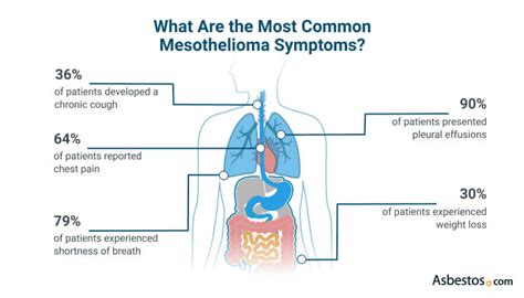 What Are The Symptoms Of Mesothelioma Top Warning Signs