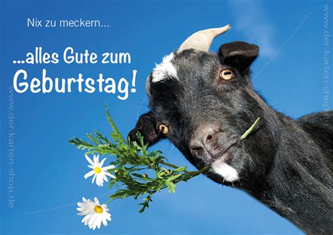 10 lustige tierbilder zum guten morgen; Doppelkarte Geburtstagskarte witzige Ziege 'Nix zu meckern ...