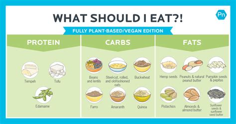 Fully Plant Based Food List What To Eat On A Vegan Diet Infographic