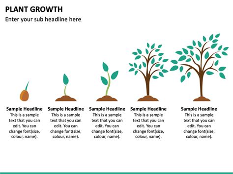Plant Growth Powerpoint Template Ppt Slides