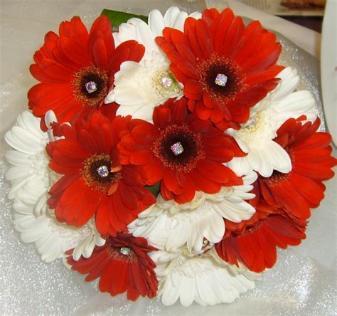 We offer a unique variety of daisies from yellow daisies to red daisies. White and Red Gerbera Bouquet - Bouquet Wedding Flower