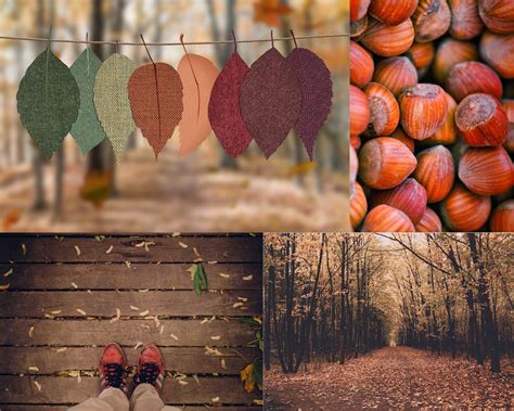 All Those Amazing Colors Of November Lilleliis