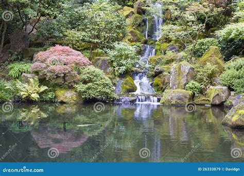 Japanese Garden Koi Pond With Waterfall Stock Image Image Of