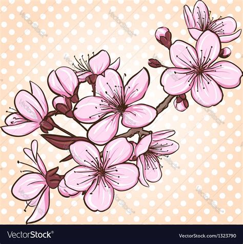 Cherry Blossom Decorative Floral Illustration Of Sakura Flowers