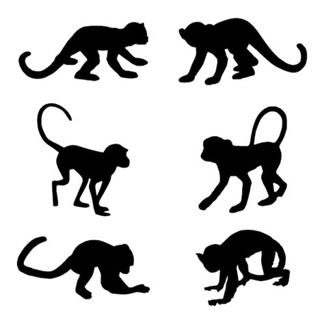 Premium Vector Monkey Silhouette Set Collection Isolated Black On