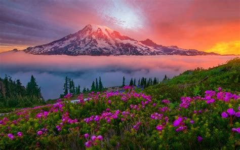 Mountain Landscape Spring Sunset Snowy Mountain Meadow