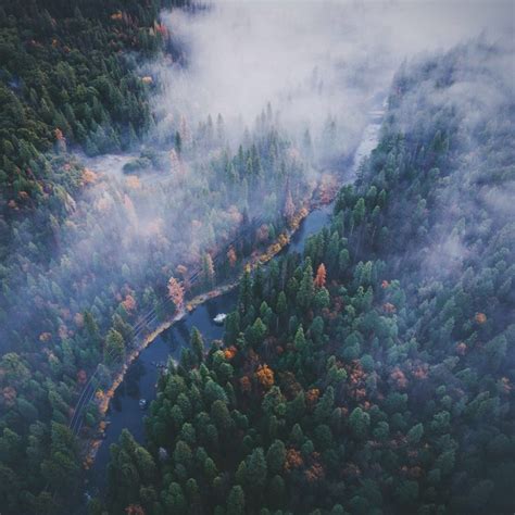 An Aerial View Of A River Surrounded By Trees In The Foggy Forest With