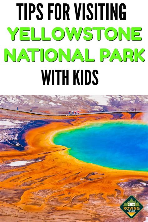 How To See The Best Of Yellowstone National Park Visit Yellowstone