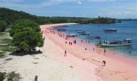 Ngeri Tangan Jahil Wisatawan Curi Pasir Pink Pulau Komodo Portal