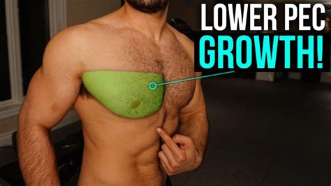 What Are The Best Lower Chest Workout How To Perform Them