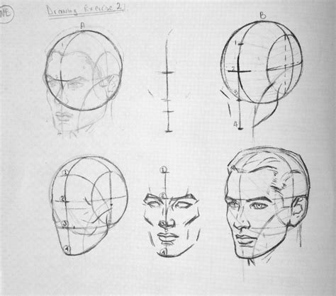 Loomis Head Proportions 1 Рисовать Блокноты для эскизов Рисование лиц