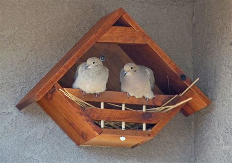 The house was demolished in 1898. Mourning Dove Birdhouse Plans Free