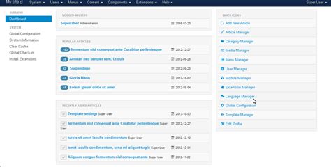 Administrators, users, developers and designers. Joomla 3.x. How to hide Joomla version update options from ...