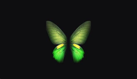 Neon Butterfly Desktop Wallpapers Top Free Neon Butterfly Desktop