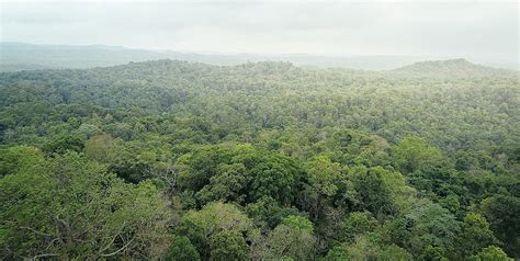 Saving Cambodias Dry Forests Wwf