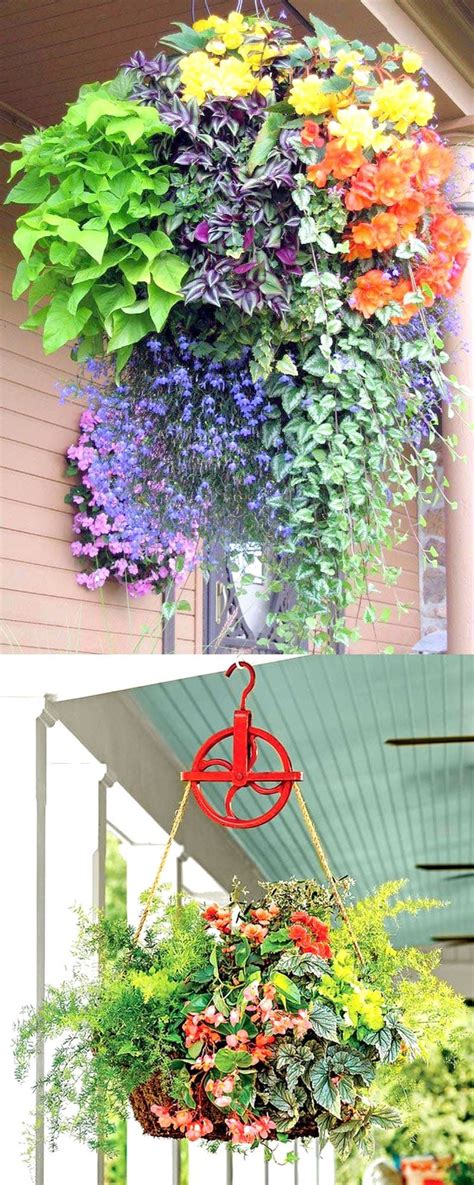 We always prioritize the customer interests in all. 15 Beautiful Flower Hanging Baskets & Best Plant Lists ...