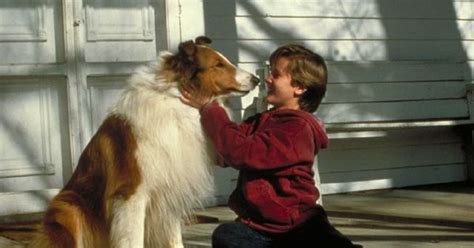 The Eighth Dog In The Lassie Line Howard With Tom Guiry From The 1994