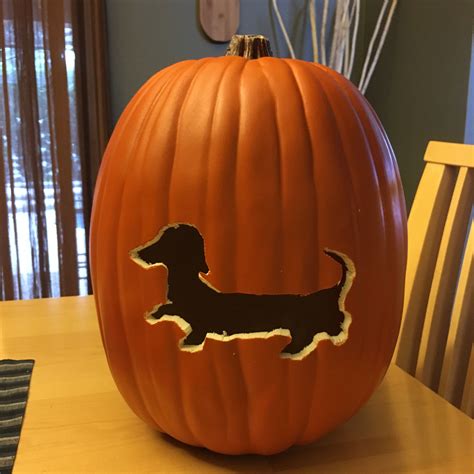 Pin By David On Dachshund Pumpkin Dog Pumpkin Pumpkin Carving