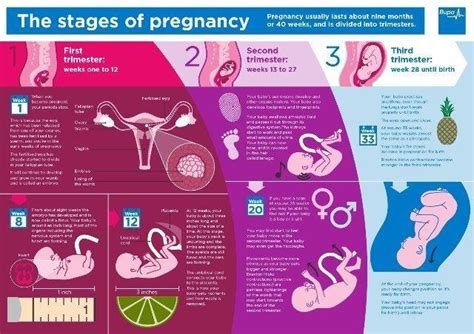 But during pregnancy, hormone levels change, making it harder for your body to process blood sugar efficiently. Gestational Diabetes Blood Sugar Levels Chart Uk ...